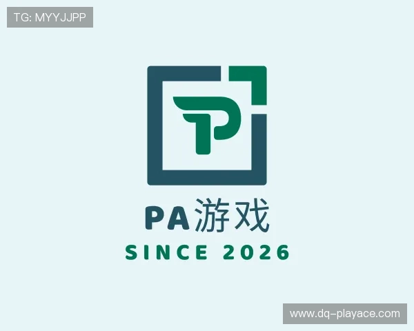 认识PA游戏